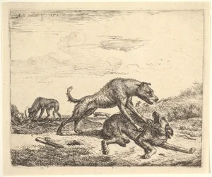 Bojoví psi, z různých zvířat, 1657.