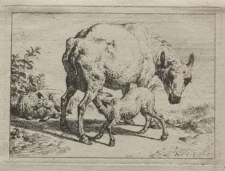 Ovce a dva jehňata, 1670.