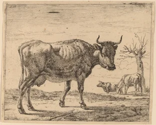 Tři krávy