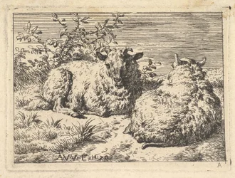 Dvě ležící ovce, 1670.