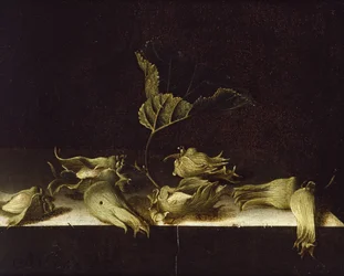 Zátiší s lískovými oříšky, 1696 (olej na papíře)