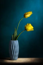Elegantní žluté tulipány