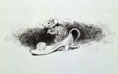 Popelka - v „Pohádkách“ od Charlese Perraulta, ilustrace Adrien Marie