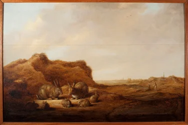 Krajina s králíky Malba Alberta (Aelbert nebo Aelbrecht) Cuyp (1620-1691) 1641-1642 Rozměr.44x67 cm Genes, Musei di Strada Nuova (ex Palazzo Rosso)
