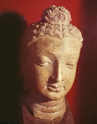 Hlava Buddhy, řecko-buddhistický styl, z Hadda (keramika)