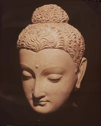 Hlava Buddhy v řecko-buddhistickém stylu z Haddy (štuk)
