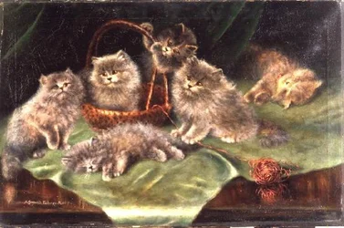 Šest koťátek