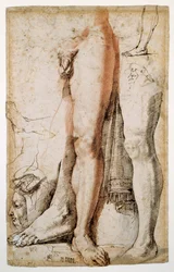 Studie mužské levé nohy, levé ruky a mužské hlavy z profilu (červená křída vyztužená perem a hnědým inkoustem, na krémovém drátěném papíře)