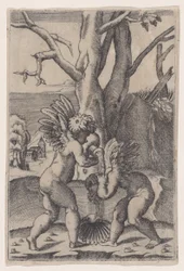Dva Cupids, ca. 1519.
