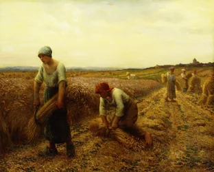 kombajny,