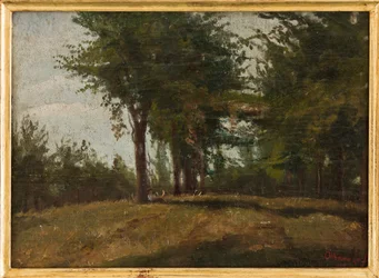 The Planted Field (olej na palubě)