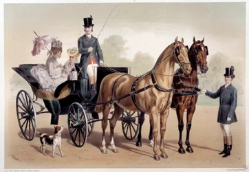 Koňský povoz s anglo-normanskými koňmi Grafika Alberta Adama (1833-?) Paříž 19. století, Musee Carnavalet