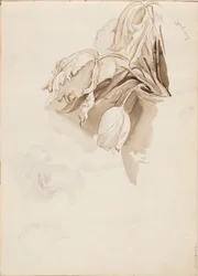 Tulipány