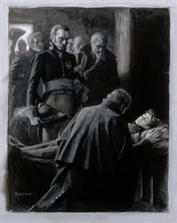 Wilhelm von Schwerin, ilustrace k knize „Finsko v 19. století“
