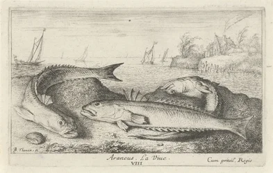 Tři tečkovaní na pláži Araneus. LaVie. (název na objektu) Ryby a další mořští tvorové - slaná voda druhá série (název série) Poissons de mer (název série)