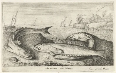Tři tečkovaní na pláži Araneus. LaVie. (název na objektu) Ryby a další mořští tvorové - slaná voda druhá série (název série) Poissons de mer (název série)