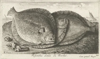 Tři kuřátka na pláži Rhombus Laeuis La Barbuë (název na objektu) Ryby a další mořští tvorové - slaná voda třetí série (název série) Poissons de mer (název série)