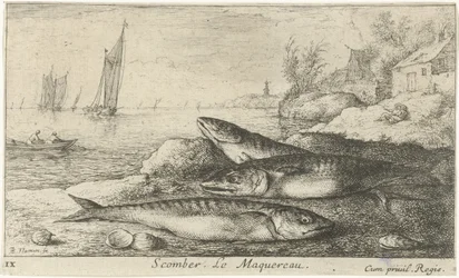 Tři makrely na pláži Scomber. Le Maquereau. (název na objektu) Ryby a další mořští tvorové - slaná voda první série (název série) Diverse Especes de Poissons de mer (název série)