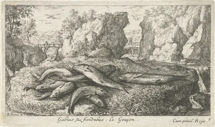 Gobies na břehu řeky Gabius siue fundulus. Le Goujon. (název na objektu) Ryby a další mořští tvorové - sladkovodní druhá série (název série) Seconde partie de Poissons d