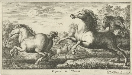 Koně Equus le Cheval (název na objektu) Různé druhy zvířat (název série)