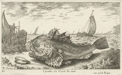 Poon na pláži Cuculus. Le Coccu de mer (název na objektu) Ryby a další mořští tvorové - slaná voda první série (název série) Diverse Especes de Poissons de mer (název série)