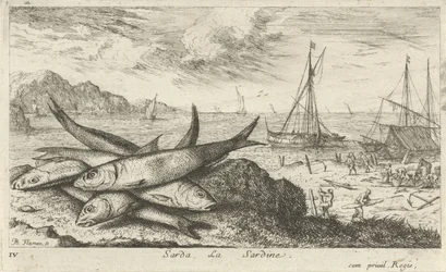 Sardinky na pláži Sarda, La Sardine. (název na objektu) Ryby a další mořští tvorové - slaná voda první série (název série) Diverse Especes de Poissons de mer (název série)