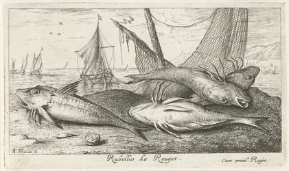 Čtyři parmice na pláži Rubellio Le Rouget. (název na objektu) Ryby a další mořští tvorové - slaná voda druhá série (název série) Poissons de mer (název série)