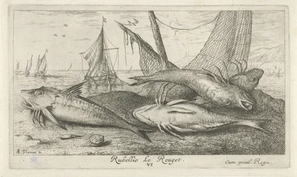 Čtyři parmice na pláži Rubellio Le Rouget. (název na objektu) Ryby a další mořští tvorové - slaná voda druhá série (název série) Poissons de mer (název série)