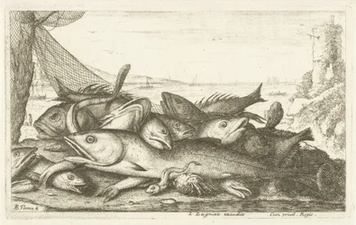 Lov kraba poustevníka Různé druhy ryb (název série) Diverse Especes De Poissons tant de Mer, que d