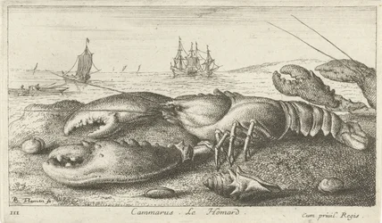 Humr na pláži Cammarus. LeHomard (název na objektu) Ryby a další mořští tvorové - slaná voda první série (název série) Diverse Especes de Poissons de mer (název série)