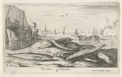 Šest voní na pláži Eperlanus. L