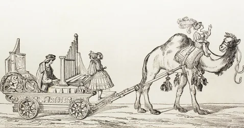 Varhaník Paul Hoffaner hrající v kočáru taženém velbloudem, kolem roku 1880 (rytina)