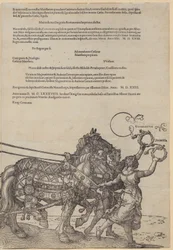 Experientia, list 8 ze série „Velký triumfální vůz“