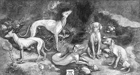 Skupina psů. Z rytiny sv. Eustace, od A. Durera, c1500, 1906
