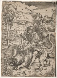 Samson Killing the Lion, c. 1496-1497.