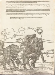 Triumfální vůz Maxmiliána I. (Velký triumfální vůz) [deska 5 z 8]