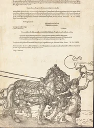 Triumfální vůz Maxmiliána I. Velký triumfální vůz [deska 8 z 8], 1523 latinské vyd.
