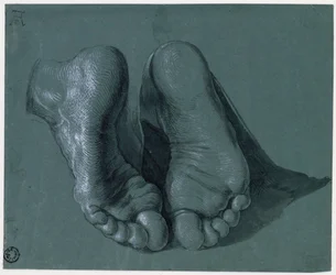 Etude de pieds - Studie dvou nohou - Kresba Albrechta Durera (1471-1528), Akvarel, bílá barva, černá křída na papíře, c1508 (17,6x21,6cm) - Museum Boijmans Van Beuningen, Rotterdam