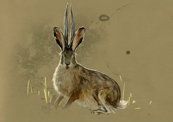 Fantastická monstra a bytosti, kryptozoologie: zobrazení Jackalope, legendárního zvířete napůl zajíce a napůl antilopy (mýtické zvíře, králík s antilopími rohy) - kresba Alessandra Lonatiho, 2012