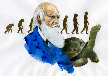 Portrét Charlese Darwina - Portrét anglického přírodovědce Charlese Darwina (1809-1882) Ilustrace
