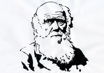 Portrét Charlese Darwina - Portrét anglického přírodovědce Charlese Darwina (1809-1882) Ilustrace