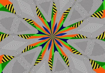 Clover, 2019, (kombinovaná média)