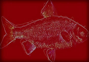Fish V, 2020, (kombinovaná média)