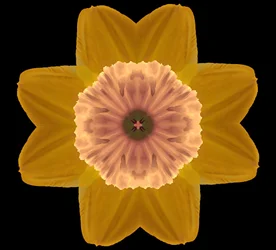 Symmetry, 2019, (fotografie)