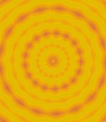 květiny #8,2019, (gradient)