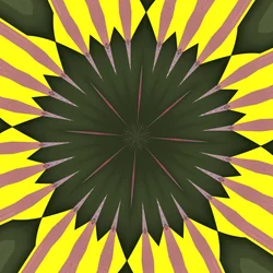 slunečnice, 2019, (digitální)