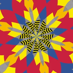 symetrie #6, 2019, (kombinovaná média)