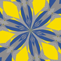 symetrie #8,2019,(kombinovaná média)