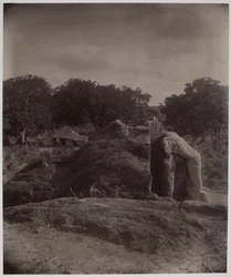 Vytesaný slon na vrcholu skály s nápisy Asoka, Dhauli, okres Puri
