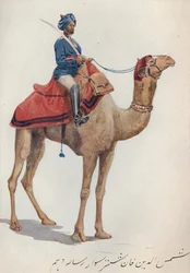 Velbloudí sowar z 10. Bengálských kopiníků, c1880 1905.